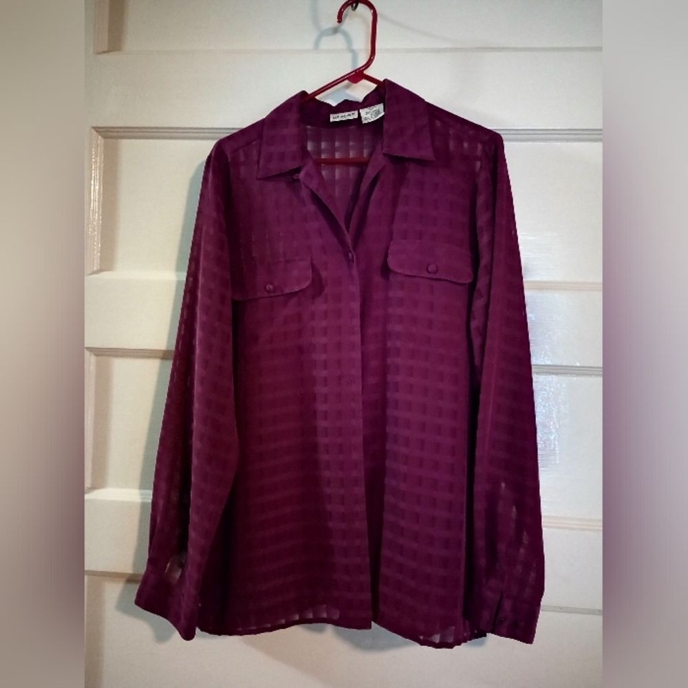 Liz Baker 12 tall sheer top